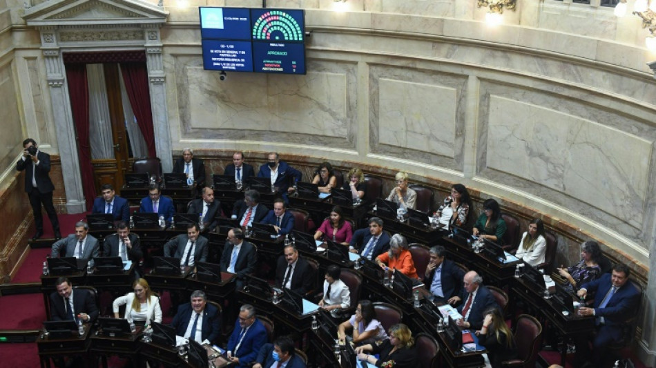 Senadores argentinos proponen gravar bienes en el exterior no declarados para pagar al FMI