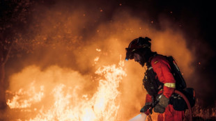Inc&ecirc;ndios cercam Madri e obrigam a evacua&ccedil;&otilde;es na Fran&ccedil;a e Espanha