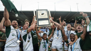 Pro D2: Montauban fait chuter Grenoble et d&eacute;croche une mont&eacute;e inesp&eacute;r&eacute;e