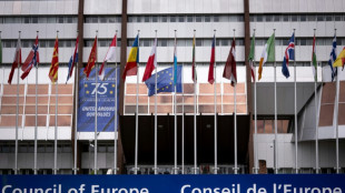 Baerbock würdigt Europarat zum 75-jährigen Bestehen
