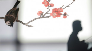 COP15: encore aucune avanc&eacute;e majeure pour esp&eacute;rer un "pacte de paix avec la nature"