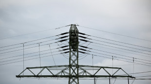 "Enormer Finanzbedarf": Verb&auml;nde schlagen Energiewende-Fonds vor 