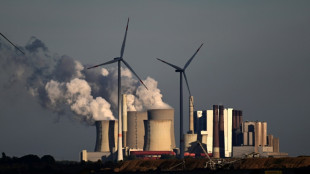 IEA-Chef erwartet baldigen Höhepunkt der Nachfrage nach fossiler Energie