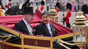 Gro&szlig;er Pomp f&uuml;r japanisches Kaiserpaar bei seltenem Staatsbesuch in London