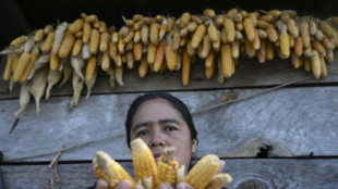 Le ph&eacute;nom&egrave;ne climatique El Ni&ntilde;o a commenc&eacute;, le pic attendu en fin d'ann&eacute;e