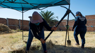 Hallan 17 cad&aacute;veres en una casa abandonada en M&eacute;xico 