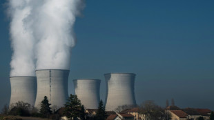 Österreich klagt wegen Einstufung von Atomkraft als nachhaltig vor EuGH