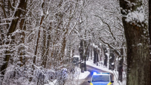 Weiterer Toter durch Schneebruch in Bayern - Von Ast getroffener Radfahrer stirbt