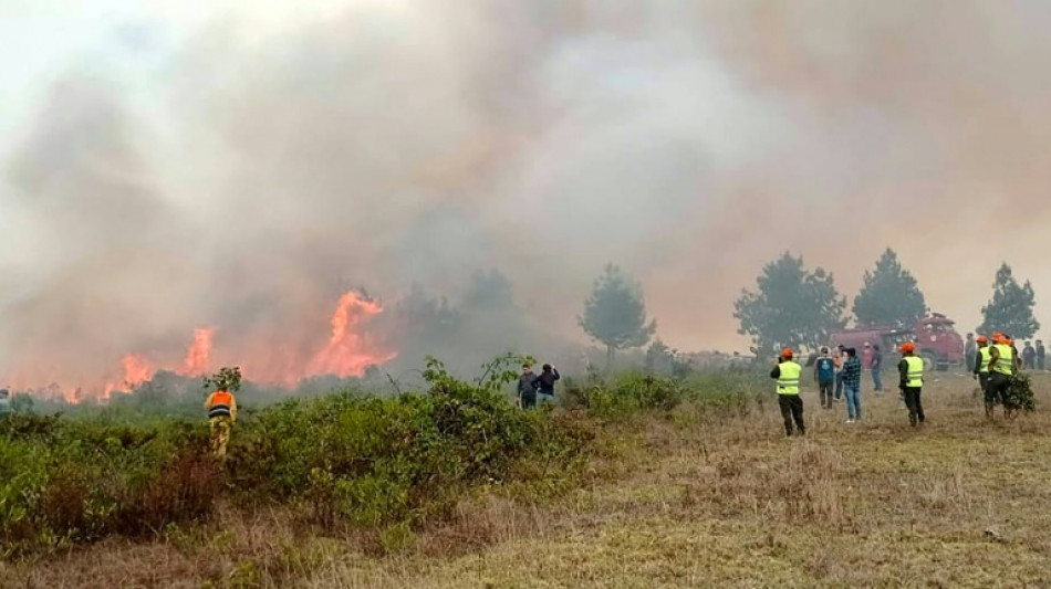 Los incendios forestales dejan 21 muertos desde julio en Per&uacute; 