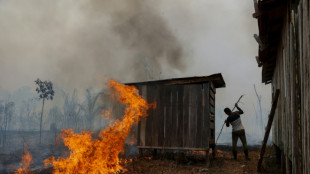 Brasil investiga disparada de inc&ecirc;ndios 'criminosos' na Amaz&ocirc;nia