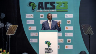 Cúpula Africana do Clima faz anúncios de investimentos em energia verde