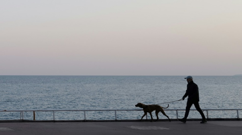 Variole du singe: les malades doivent &eacute;viter au maximum les contacts avec leurs animaux de compagnie