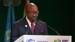 Le Gabon accueillera la Semaine africaine du climat fin ao&ucirc;t 