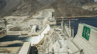 Stromproduktion an umstrittenem Mega-Staudamm in &Auml;thiopien begonnen