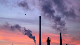 Habecks milliardenschweres F&ouml;rderinstrument der Klimaschutzvertr&auml;ge gestartet