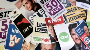 Elei&ccedil;&atilde;o antecipada na Holanda &eacute; considerada um teste para extrema direita na Europa