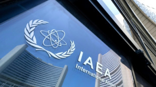 Iran says cooperation with UN nuclear watchdog will take 'new form'