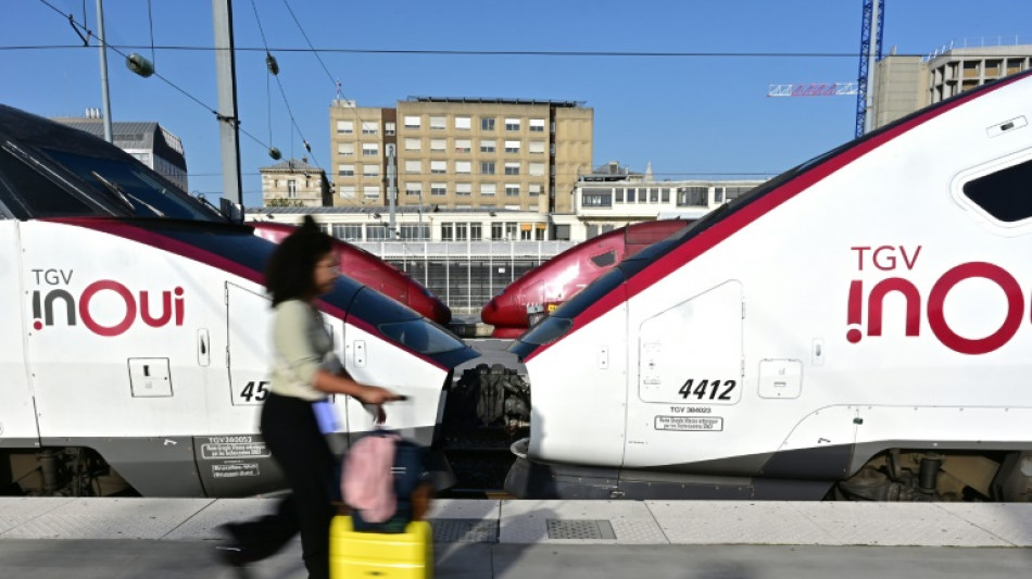 Gr&egrave;ve des contr&ocirc;leurs SNCF: un TGV sur deux pour un des principaux week-ends de chass&eacute;-crois&eacute;