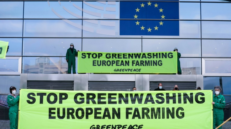 Europaparlament beschlie&szlig;t Greenwashing-Verbot in der Werbung