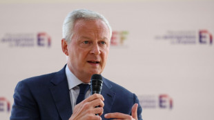 Le Maire veut baisser les imp&ocirc;ts pour soutenir l'&eacute;conomie et augmenter les recettes de l'Etat