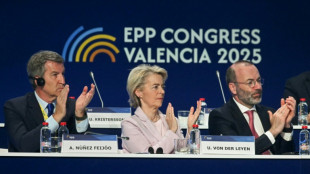 Kritik an Misstrauensantrag gegen von der Leyen: "Putins Marionetten"