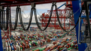 Reederei MSC will bei Hamburger Hafenbetreiber HHLA einsteigen