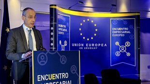 TLC com Mercosul é 'prioridade' para Europa, garante negociador-chefe da UE