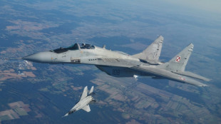 Duda-Berater: Polen hat erste MiG-29-Kampfjets an die Ukraine geliefert