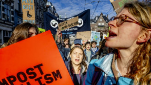Greta Thunberg rejoint des dizaines de milliers de personnes &agrave; une manifestation sur le climat &agrave; Amsterdam