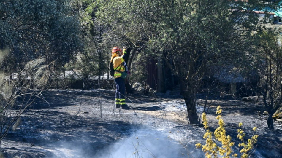 Estabilizado el incendio en el sur de España y autorizado el regreso de 1.500 turistas desalojados
