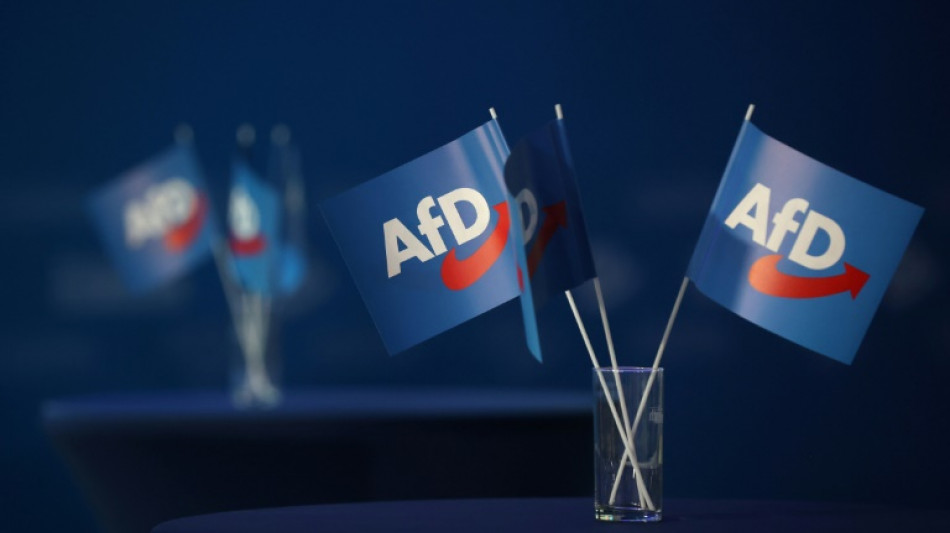 AfD-Landeschef enttäuscht über Verluste im Saarland