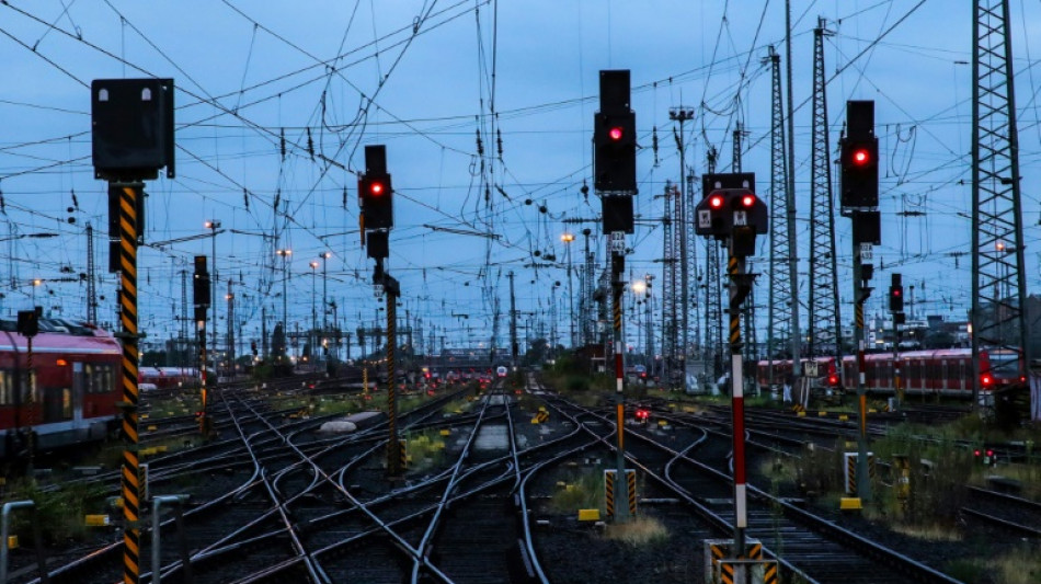 V&ouml;gel sollen besser vor Stromschl&auml;gen an Bahn-Oberleitungen gesch&uuml;tzt werden