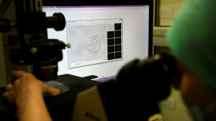 Un estudio arroja luz sobre la formación de los embriones humanos