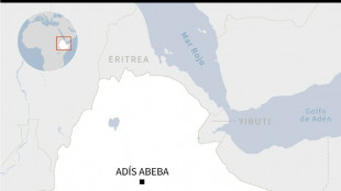 Autoridades et&iacute;opes encarcelan a un periodista franc&eacute;s por querer "crear caos"