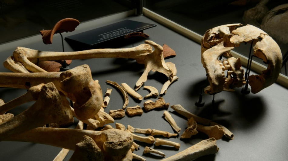 Mudan&ccedil;a social explicaria redu&ccedil;&atilde;o da diversidade gen&eacute;tica masculina durante o Neol&iacute;tico