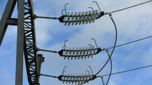 Electricit&eacute;: chez Enedis, les "tours de contr&ocirc;le" se pr&eacute;parent au sc&eacute;nario "ultime" des coupures hivernales