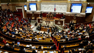 French lawmakers pressure government to seize Russian assets