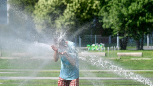 Landsberg fordert Gesetze zu Einschränkung von Trinkwassernutzung bei Trockenheit