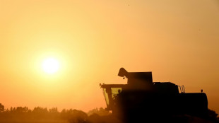 Agriculture: la loi Duplomb-Menonville entrevoit le bout du tunnel parlementaire, sans &eacute;teindre la controverse