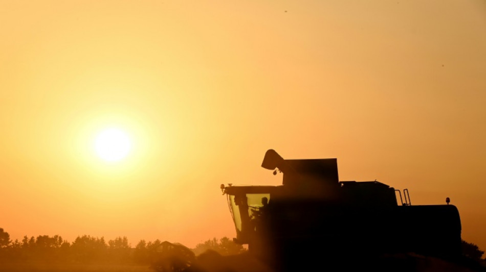 Agriculture: la loi Duplomb entrevoit le bout du tunnel parlementaire, sans &eacute;teindre la controverse