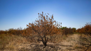 Un informe de la ONU advierte que tres cuartos de las tierras del mundo sufren un proceso de aridez