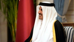 Qatar emir due in Paris for talks on Gaza
