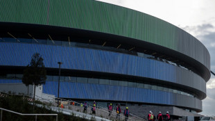 Olympics rev up Milan's renewal but locals fear price to pay