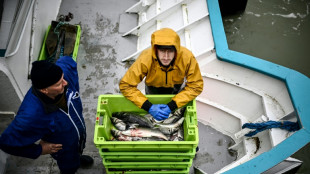 Francia proh&iacute;be temporalmente la pesca en el Atl&aacute;ntico para proteger a los delfines