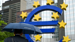 Wirtschaft der Euro-L&auml;nder w&auml;chst um 0,3 Prozent im zweiten Quartal