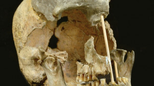 Genética encontra rastro dos primeiros humanos modernos da Europa