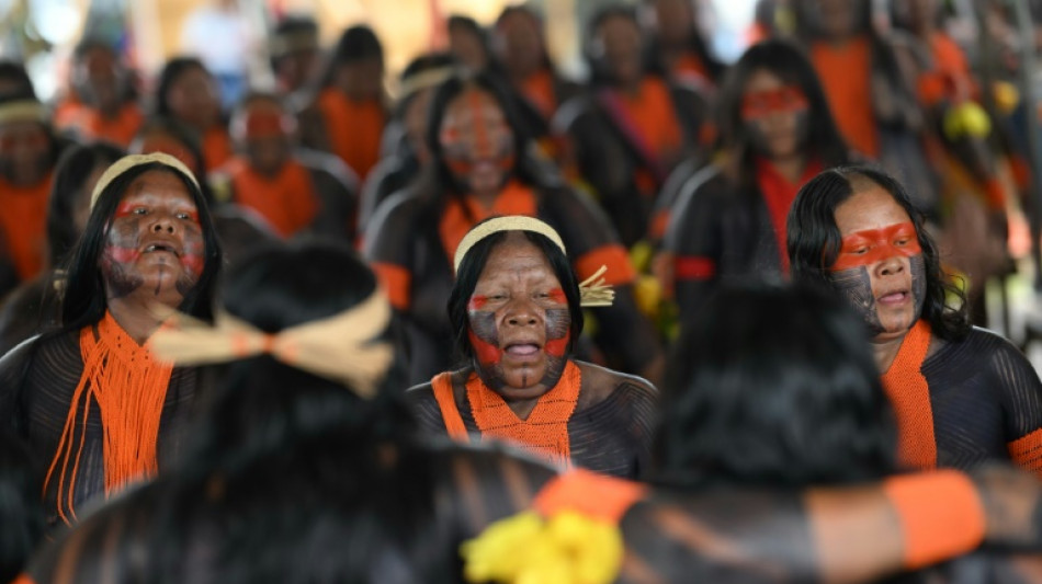 L&iacute;deres ind&iacute;genas mundiais pedem mesmo peso que chefes de Estado na COP30