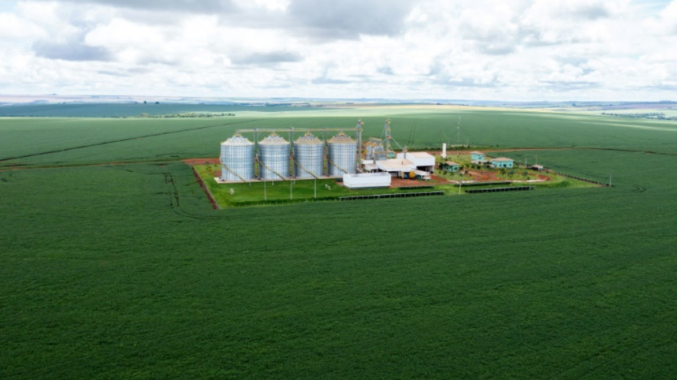 Los biopesticidas se abren camino en Brasil, el pa&iacute;s de los "agrot&oacute;xicos"