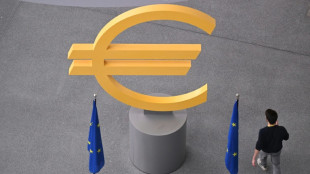 ECB holds rates as France crisis looms over meeting