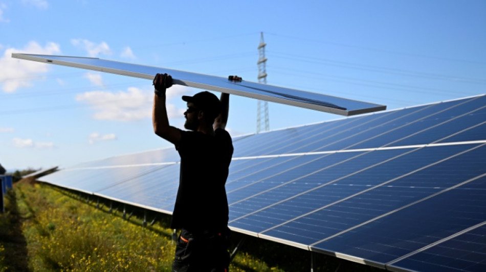 Investitionen in Erneuerbare Energien und Atomkraft steigen 2025 auf Rekordsumme
